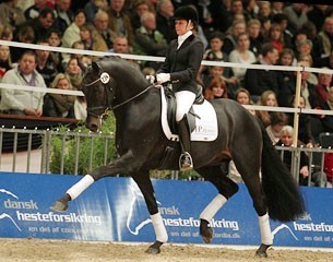 Ekvipagen Ines Westendarp og Fürstenball i Herning 2011.