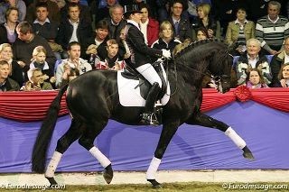 Klik på billedet og se en mere end frisk Fürstenball give opvisning - Foto eurodressage.com